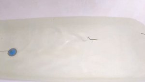 Норич Малый (з-д "Балтика")