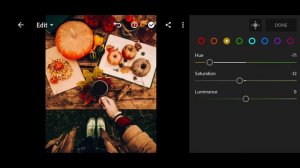 How to Edit Autumn Mood Mobile Preset Lightroom | DNG | Tutorial | Download Free | Bright Red Prese