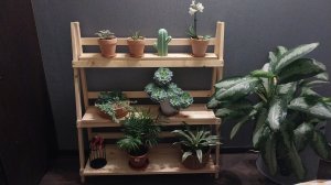 Стеллаж лесенка своими руками