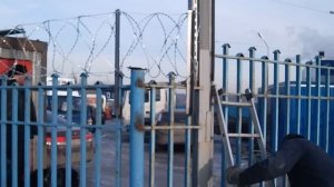 Егоза монтаж установка колючей проволоки.