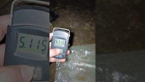 Мускусные утки Красный бык! Вес самки 5+ кг!!! Шок для хейтеров! Крымская селекция.