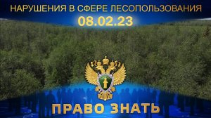 Нарушения в сфере лесопользования. Право знать