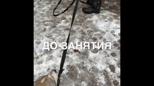 Вольер.С Вами кинолог Наталья Севостьянова