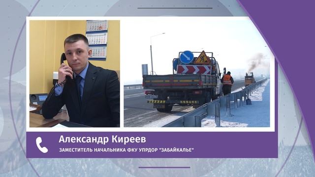 Белки в читинском зоопарке воруют шерсть у верблюда, чтобы утеплиться в минусовые температуры смотреть онлайн