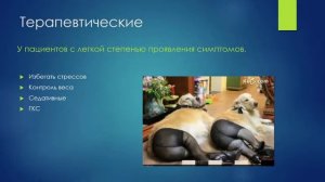 Паралич гортани у собак и кошек