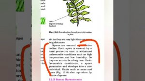 CLASS 7 NCERT SCIENCE CHAPTER 12 REPRODUCTION IN PLANTS .....CLASS 7 .#EDUCATIONAL GURU.....