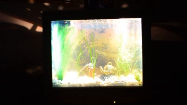 Аквариум из монитора смотреть онлайн