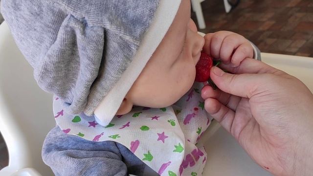 Отдых на море не в сезон | Водные горки | Кошкин дом | Комната-сад | Детские площадки