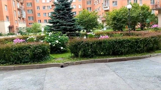 Питер Дорого Уютно