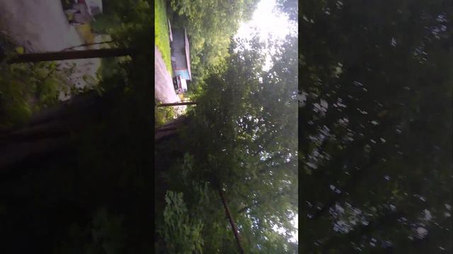 Привет россети,Воронежская область, Хохольский район,рп Хохольский,ул 50лет октября,23июля 2023г. смотреть онлайн