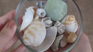 КРАСОТА ИЗ РАКУШЕК своими руками