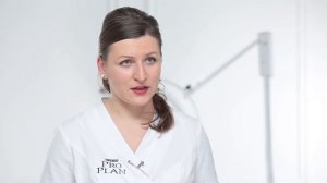 Как выбрать миску для собаки׃ советы ветеринара – Purina Pro Plan Ukraine