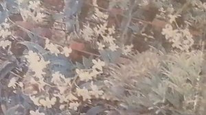 Как конвертировать видео из формата MTS В MP4 ИЛИ ДРУГИЕ ФОРМАТЫ?