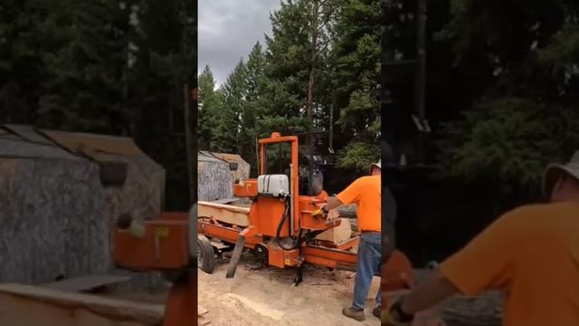 #sawmill #woodmizer #sawdust #loggerhead #woodmizersawmill смотреть онлайн