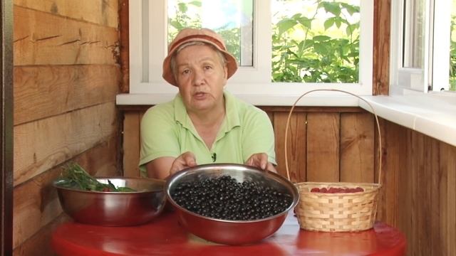 Голова садовая - Подкормка смородины в августе. Рецепт джема смотреть онлайн