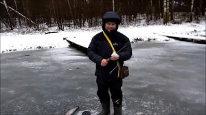 В канун Нового Года конопатая барышня радует рыбаков. Клёвое место, Верхний пруд.