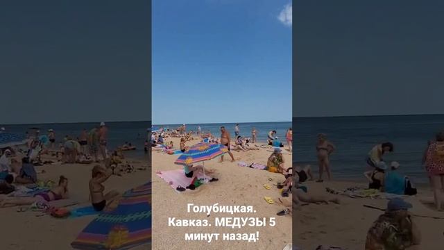 10 утра, Голубицкая. Медузы, погода. Район Кавказ 14.07.2023 г.