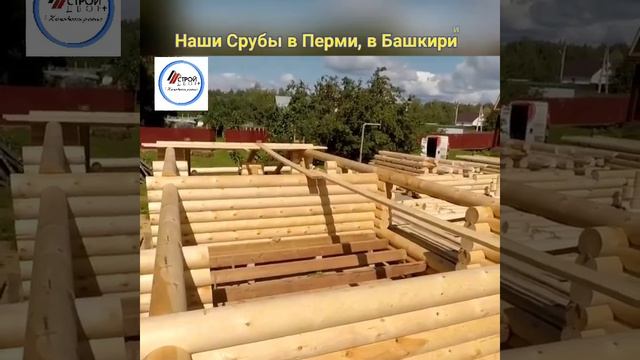 Собираем баню из оцилиндрованного бревна