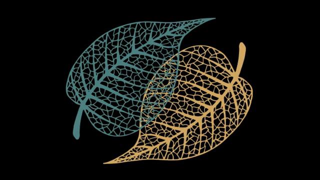 Ашин У Теджания - Не смотрите на омрачения свысока, иначе они посмеются над вами 2