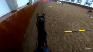 поменяла лошадь? | КОНКУР | GoPro