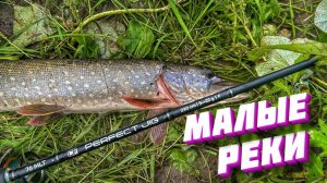 Попал на раздачу на МАЛОЙ РЕКЕ! Ловим судака, щуку и жереха на джиг и воблера