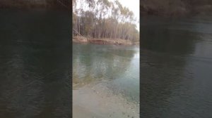 Рыбалка Приморский край ольгинский район с.ветка(1)