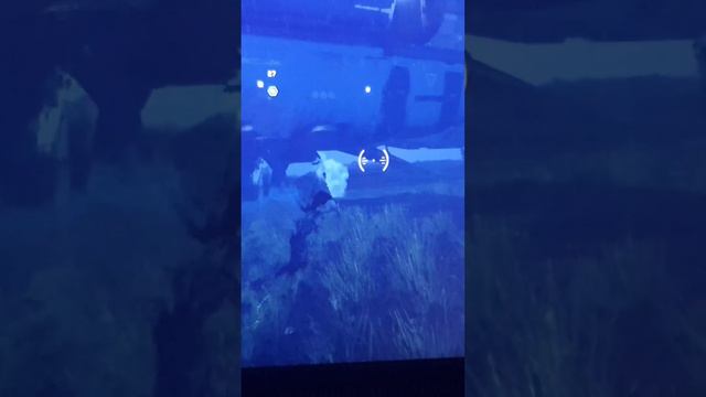 Starfield Complete Invisibility смотреть онлайн