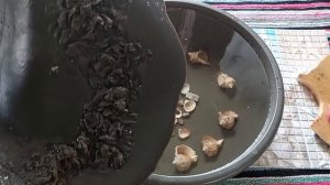 Чистка чакрального столба, обновление и снятие блока на рост и развитие.