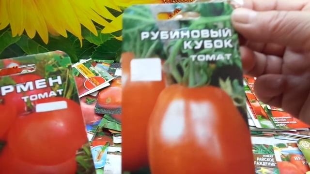 КАКИЕ ТОМАТЫ ВЫБРАТЬ? СОРТ КАРМЕН. Обзор Ольги Черновой. смотреть онлайн