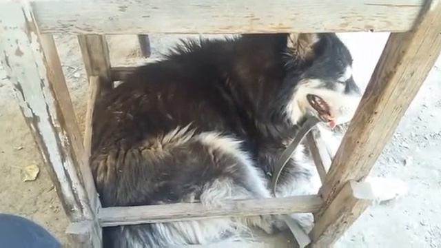 Где хочу там и лежу смотреть онлайн