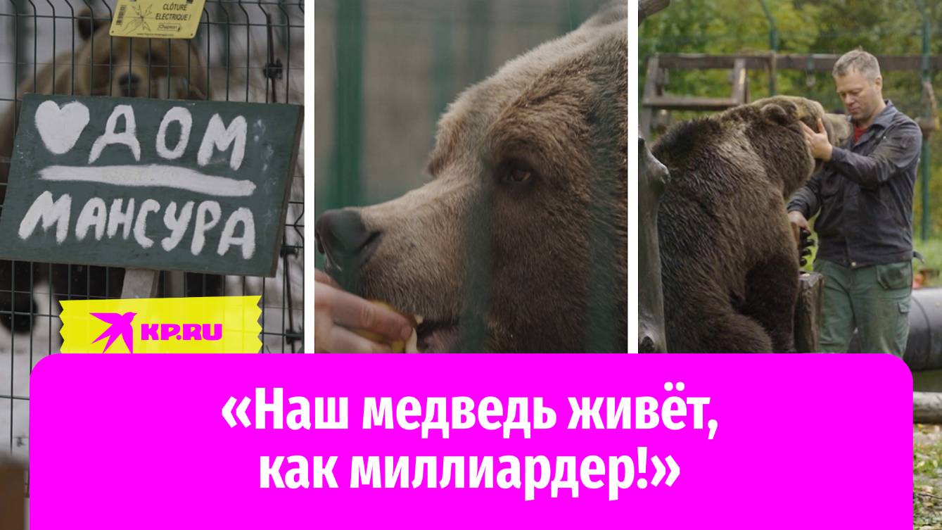 Как российские лётчики дважды спасли беззащитного медвежонка Мансура