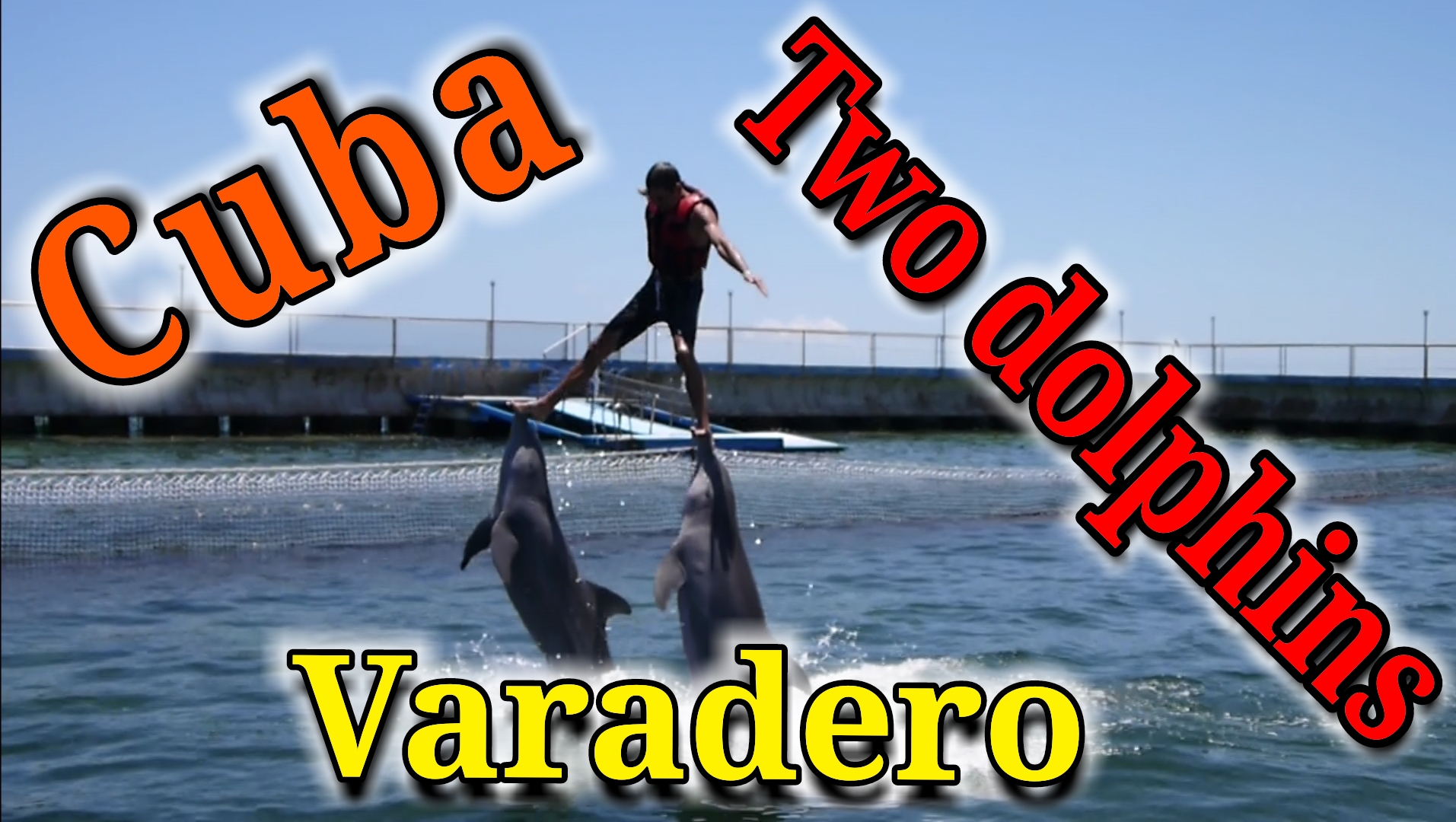 Куба, Варадеро, купание с дельфинами. смотреть онлайн