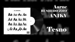 КТО ТАКОЙ AARNE ? АРТИСТ КОТОРЫЙ ВСЕГДА МОЛЧИТ