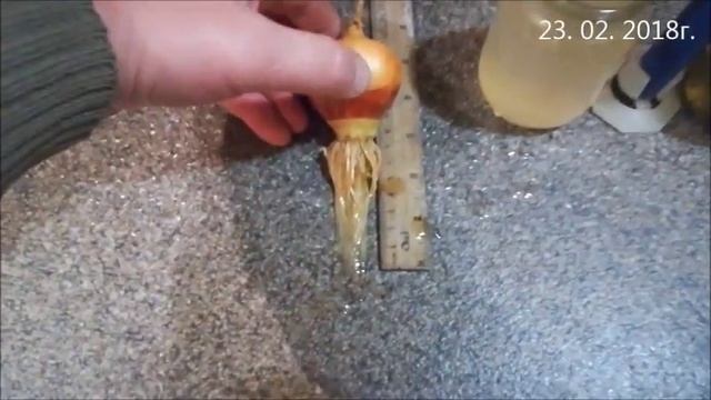 Хелатные удобрения - польза и доход ?или пустая трата времени и лишний расход??