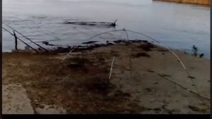 Рыбалка на паук в Хабаровске август 2019г