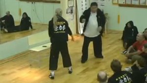 Илицюань_Основы саньда