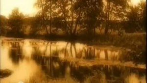 "Скрипучие половицы"(Повесть о лесах) К.Паустовский