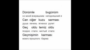 Турецкий по песням&караоке TARKAN «Öp»
