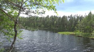 Выловлю и Высушу) \ Рыбалка \ Велопоход