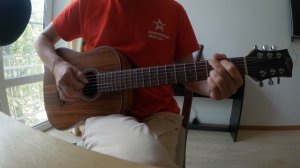 Flight TR-1000 TEAK