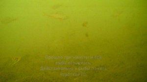 Рыбалка на леща и неожиданное развитие событий, подводные съёмки камерой для рыбалки