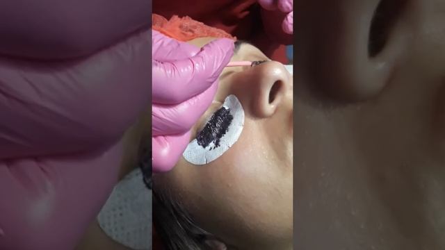 Индивидуальное обучение лешмейкера Татьяны Шмидт. Отработка на моделях окрашивание ресниц