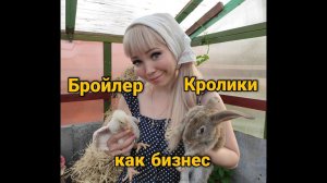 Наше хозяйство. Кролики и бройлер. Бройлер как бизнес.