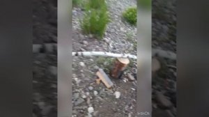 Рыбалка на сибирской реке Вороговка!