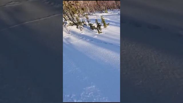 Что поют сноубордисты, когда летят на сноуборде!?
