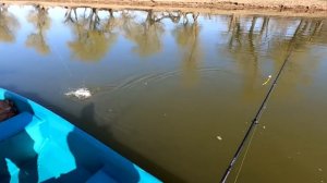 РЫБАЛКА С ЕГЕРЕМ В АСТРАХАНИ Плюсы и минусы Весенний жор судака 2023