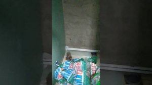 ✅ Отопление готово, теплый пол, первый этаж, радиаторы второй этаж. Арболит ВН ? ☎️+79116002444