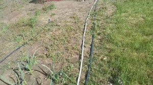 капельный полив вашего садового участка