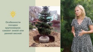 Определение своих садовых предпочтений, составление брифа ландшафтного проекта - смотреть видео онла