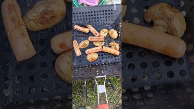 на мангале сосиски и грибы